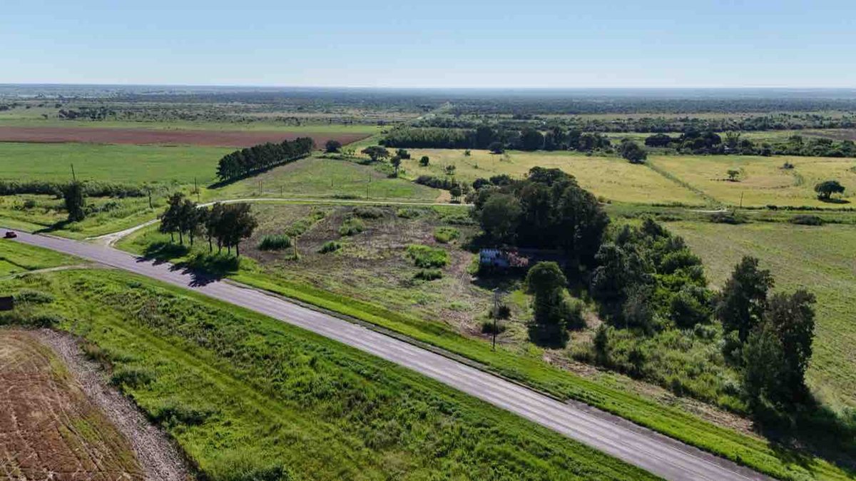 Foto 8 — LOTE sobre Ruta RN N11 en AVELLANEDA (Santa Fe)