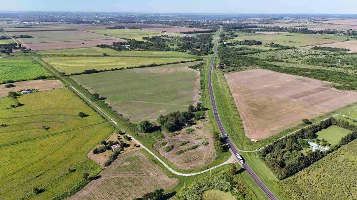 Foto 5 — LOTE sobre Ruta RN N11 en AVELLANEDA (Santa Fe)