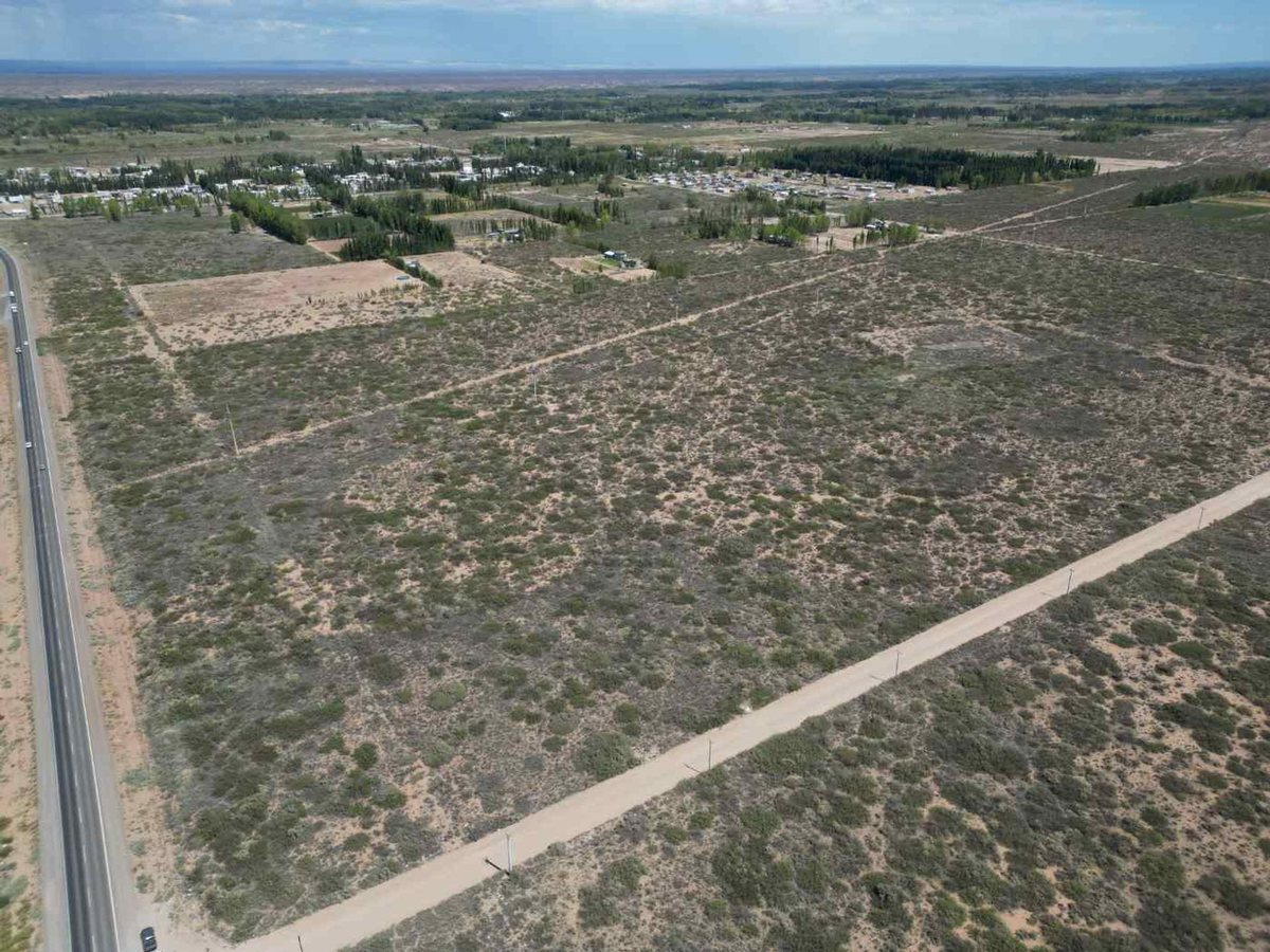 Foto 3 — VENTA DE LOTE 6 HECTAREAS PLOTTIER NEUQUEN