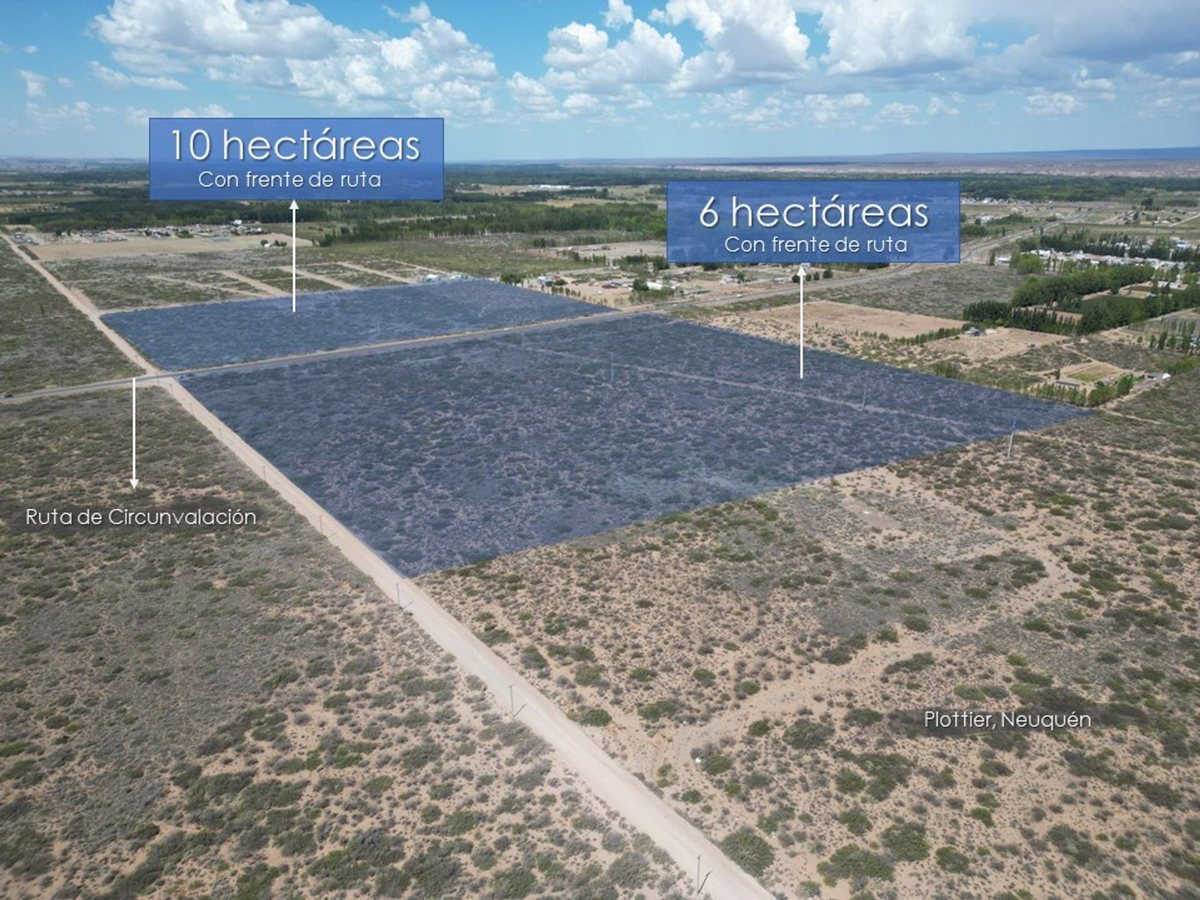Foto 2 — VENTA DE LOTE 6 HECTAREAS PLOTTIER NEUQUEN