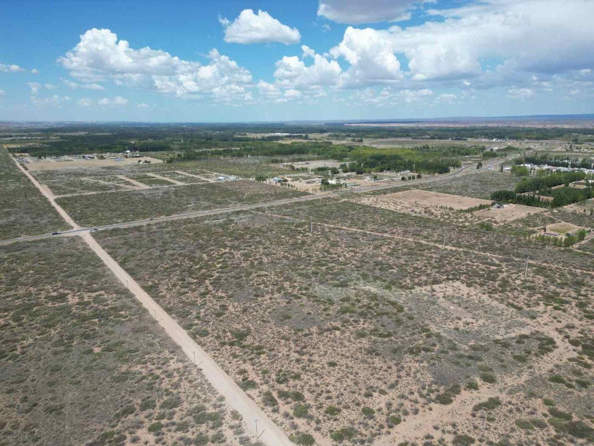 Foto 6 — VENTA DE LOTE 6 HECTAREAS PLOTTIER NEUQUEN