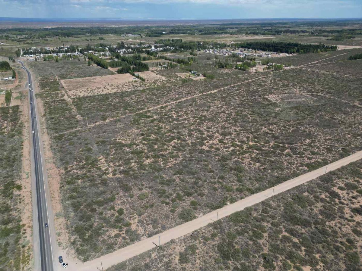 Foto 4 — VENTA DE LOTE 6 HECTAREAS PLOTTIER NEUQUEN