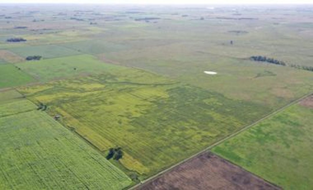 CAMPO AGRÍCOLA EN VENTA EN MAGDALENA