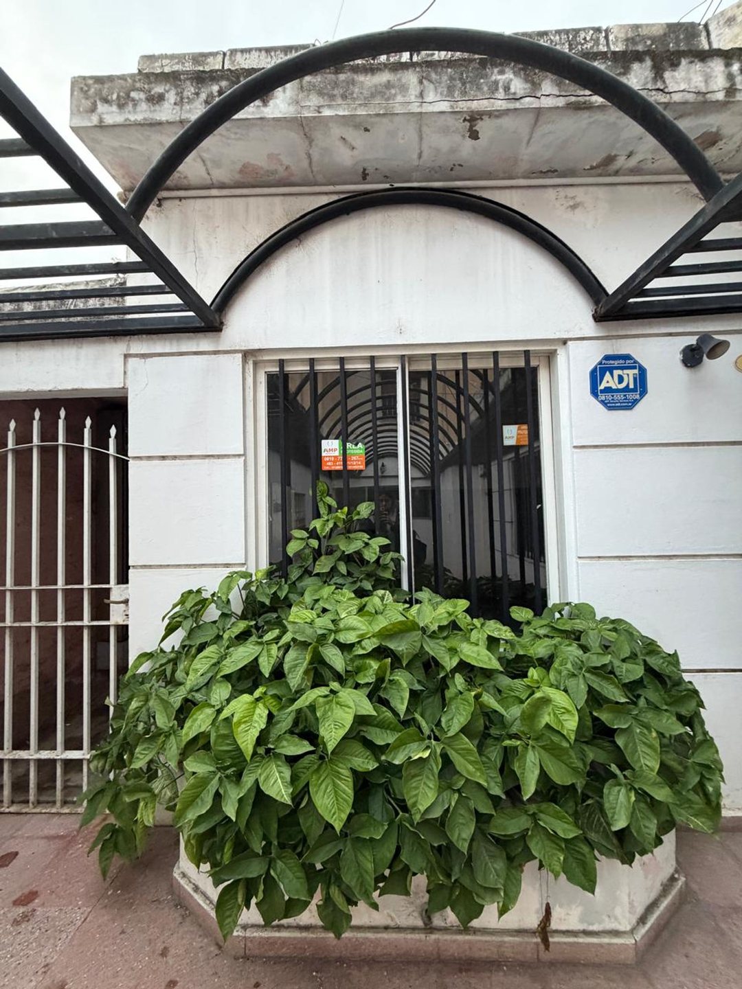 VENTA LOCAL VIVIENDA A REFACCIONAR ALBERDI PATIO