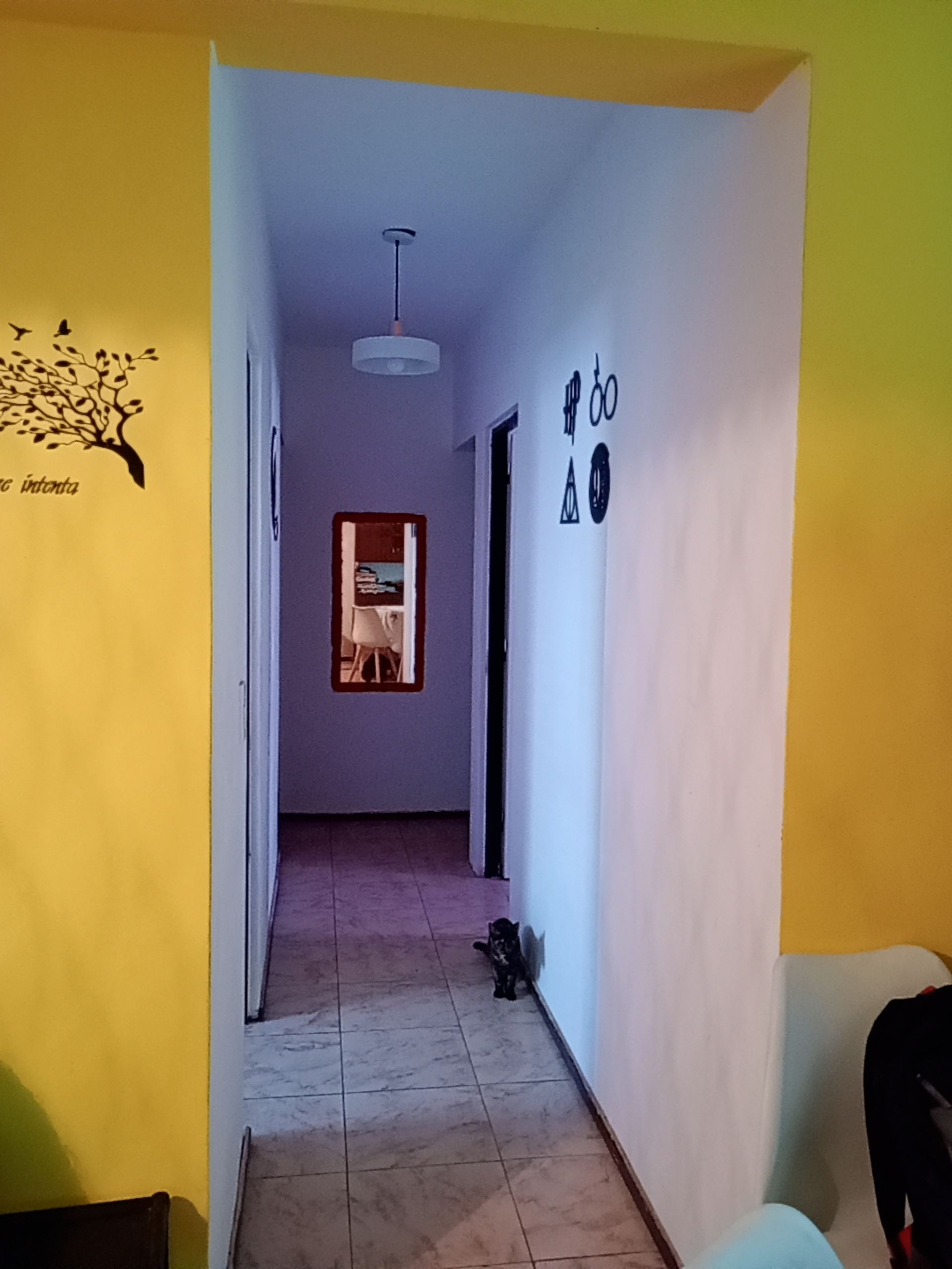 DEPARTAMENTO VENTA B° BANCARIO ZONA SUR 2 DORM - foto 6