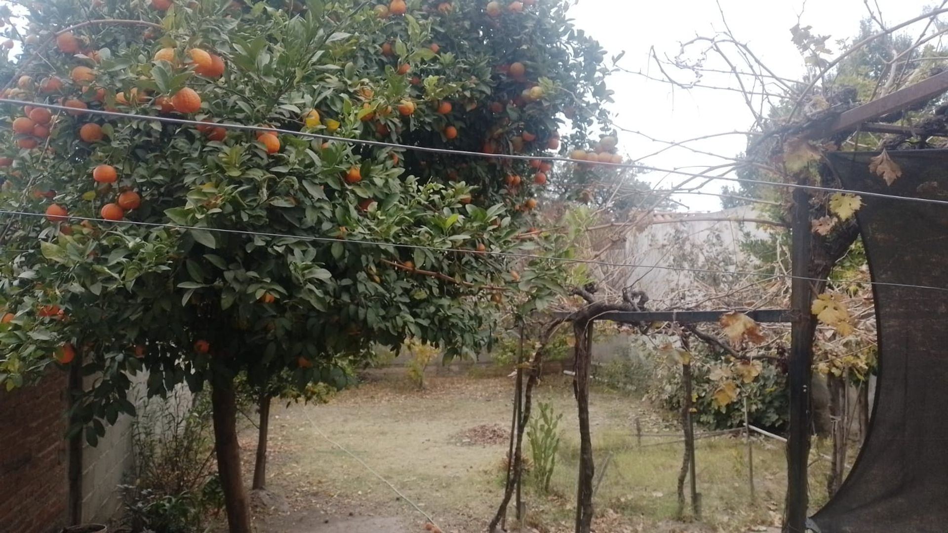 CASA 3 DORMITORIOS VENTA CAFAYATE CON COCHERA - foto 10