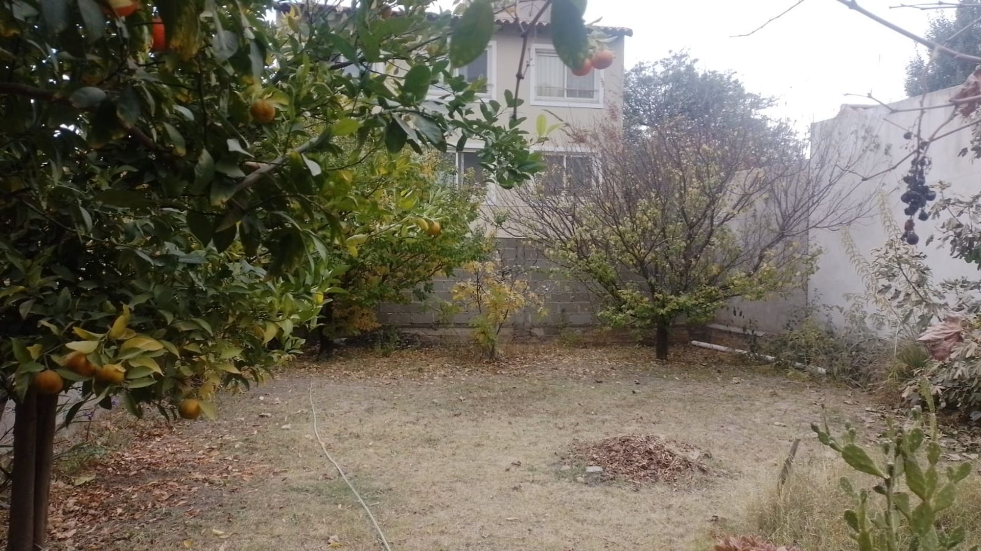CASA 3 DORMITORIOS VENTA CAFAYATE CON COCHERA - foto 9