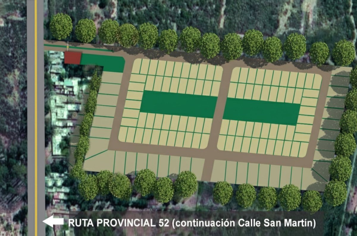 Imagen 11