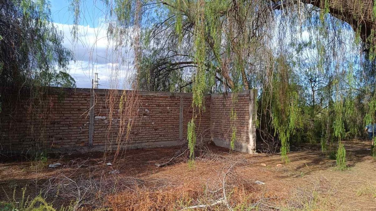 Imagen 8