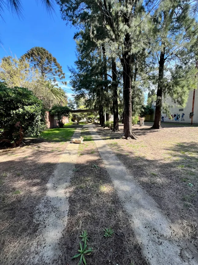 Casa 7 ambientes con jardín y cocheras., foto 4