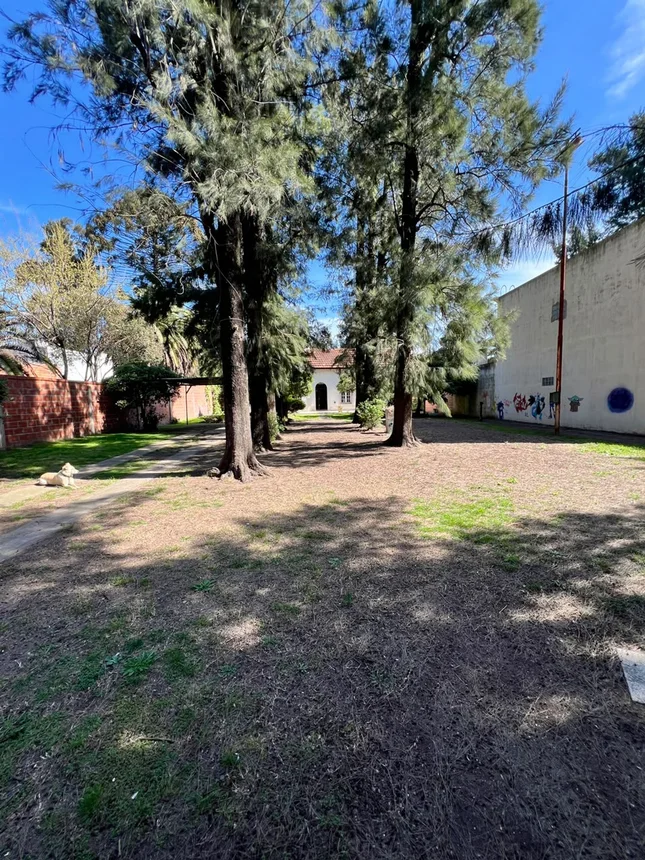 Casa 7 ambientes con jardín y cocheras., foto 3