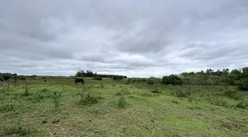 ARRENDAMIENTO DE 30HA - FRENTE AL AEROPUERTO
