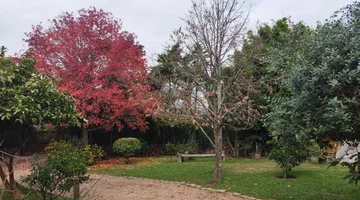 Venta Terreno con mejoras en San José de Carrasco