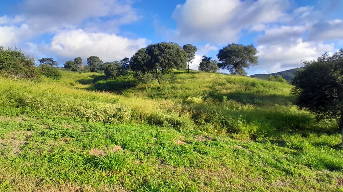 TERRENO VENTA LAS CAÑADAS ACCESO A SALTA RN 9 - foto 6