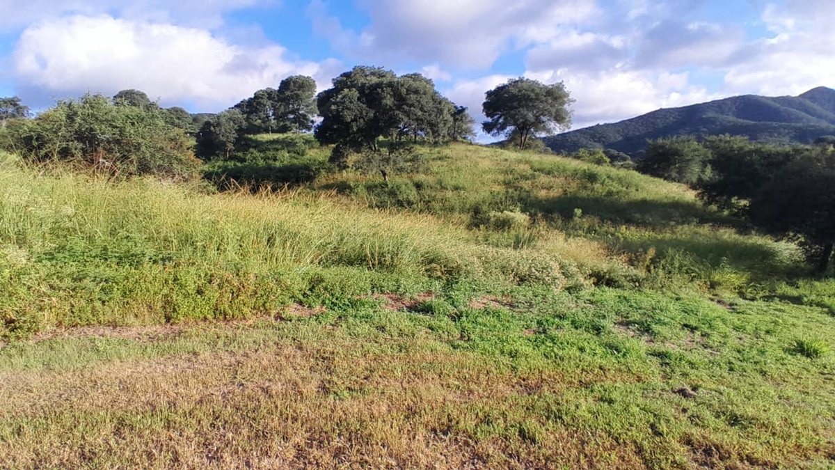 TERRENO VENTA LAS CAÑADAS ACCESO A SALTA RN 9 - foto 3