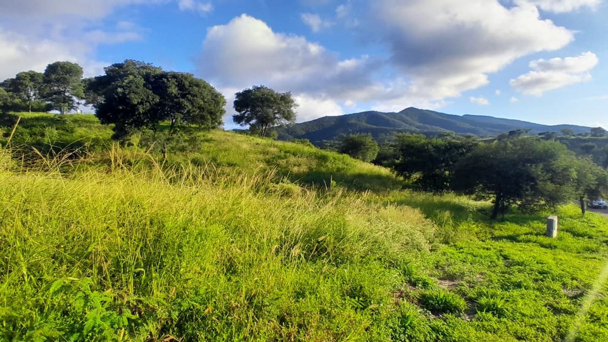 TERRENO VENTA LAS CAÑADAS ACCESO A SALTA RN 9 - foto 4