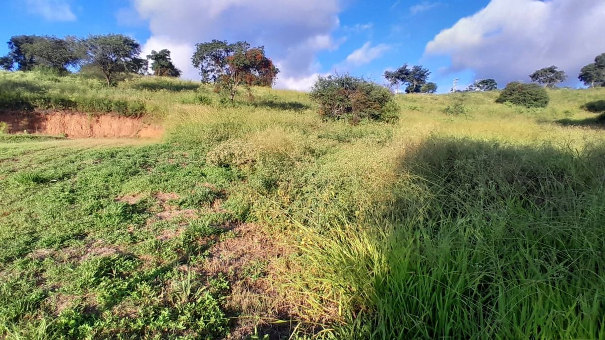 TERRENO VENTA LAS CAÑADAS ACCESO A SALTA RN 9 - foto 2