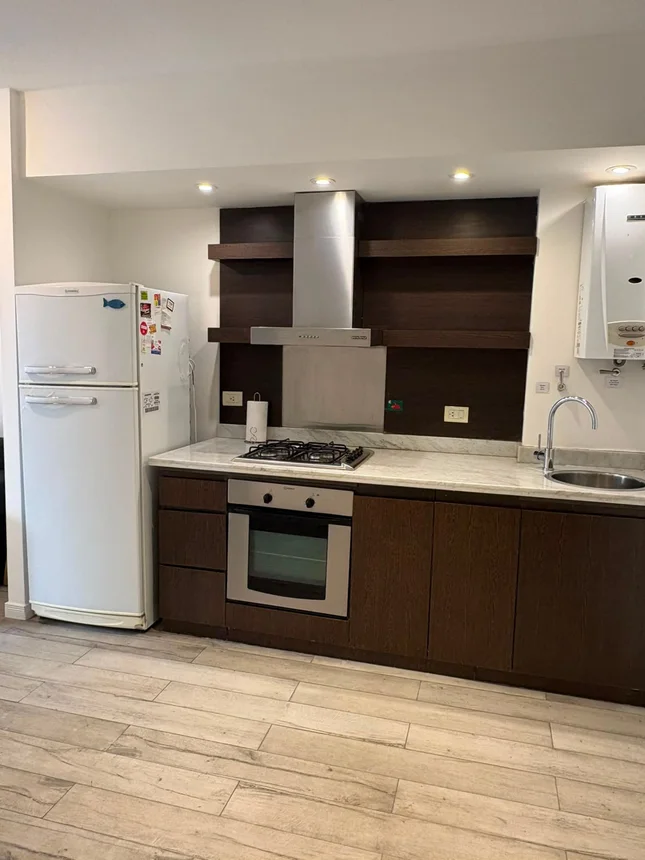 Penthouse en alquiler en Recoleta, Billinghurst 2100, foto 5