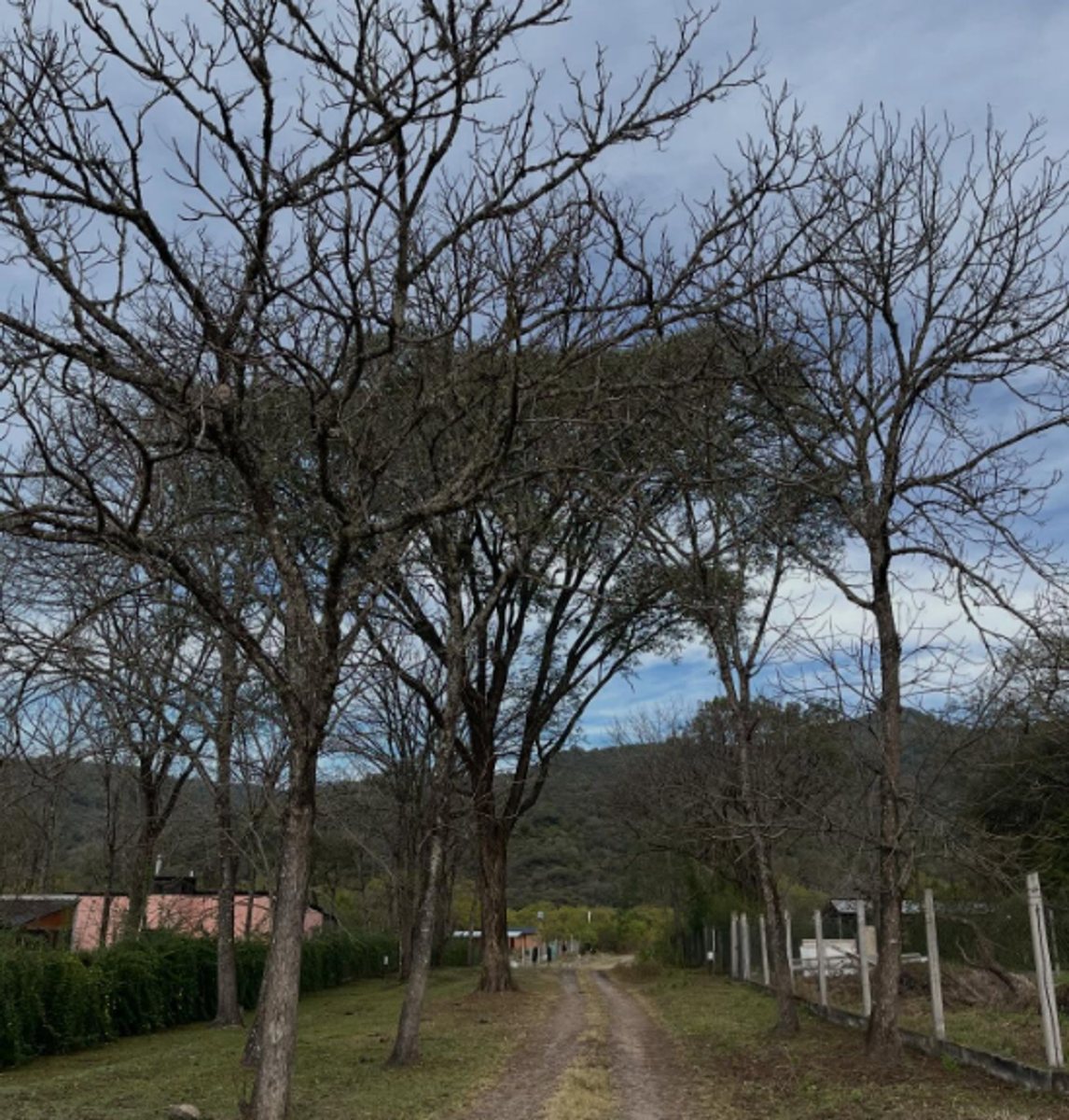 TERRENO EN VENTA ESQUINA VALLE ALEGRE LA CALDERA - foto 2