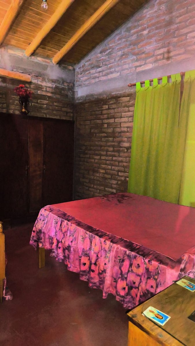 Imagen 5