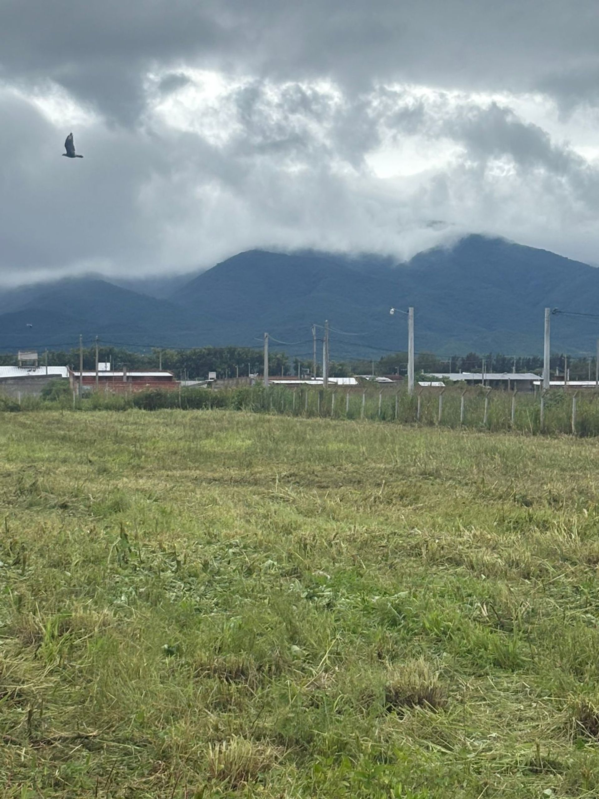 TERRENO VENTA SOBRE RUTA 21 SAN AGUSTIN DE 9200 M2 - foto 3