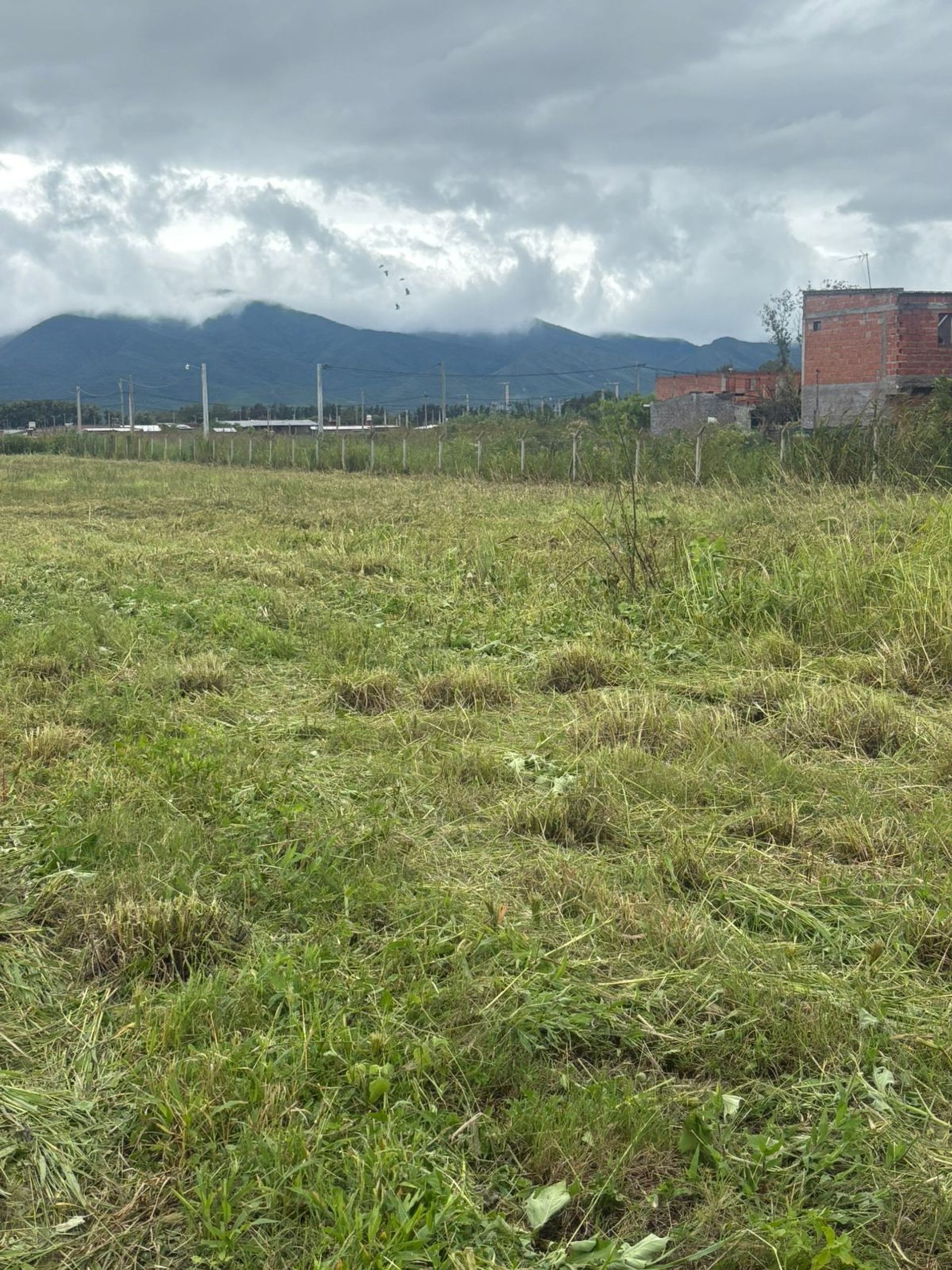 TERRENO VENTA SOBRE RUTA 21 SAN AGUSTIN DE 9200 M2 - foto 5