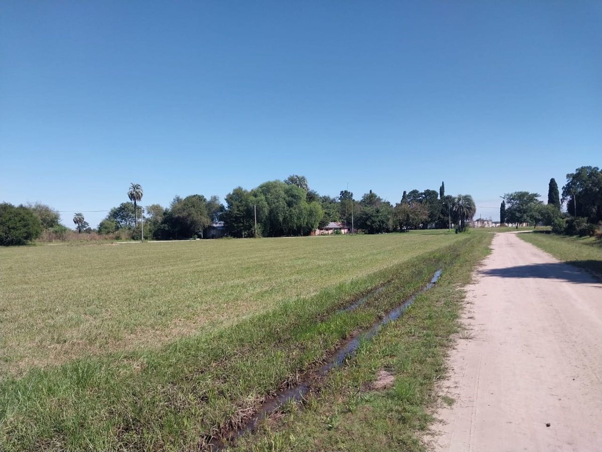 Foto 10 — SE VENDE TERRENO EN BERNA, SANTA FE
