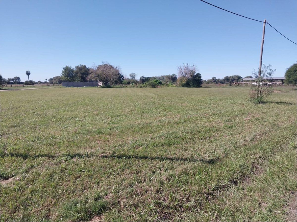 Foto 6 — SE VENDE TERRENO EN BERNA, SANTA FE