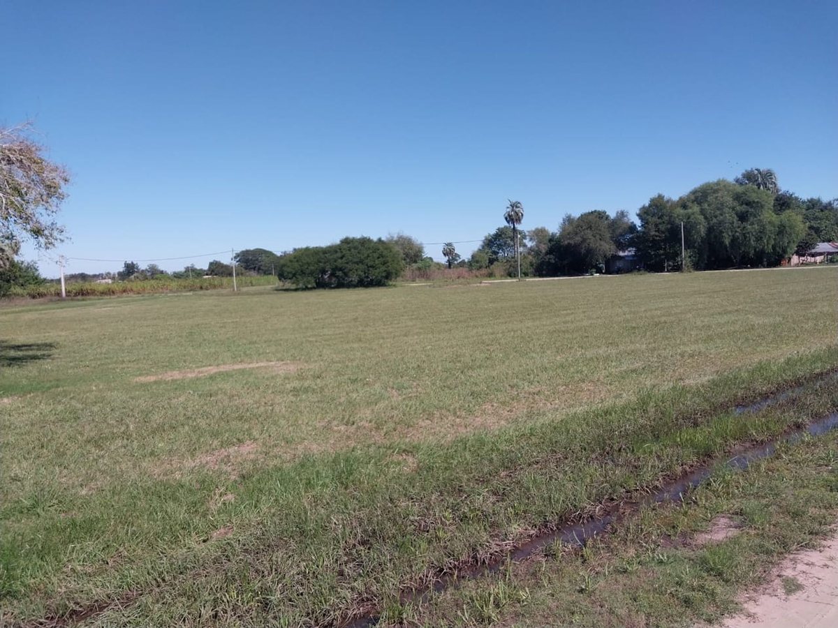 Foto 8 — SE VENDE TERRENO EN BERNA, SANTA FE