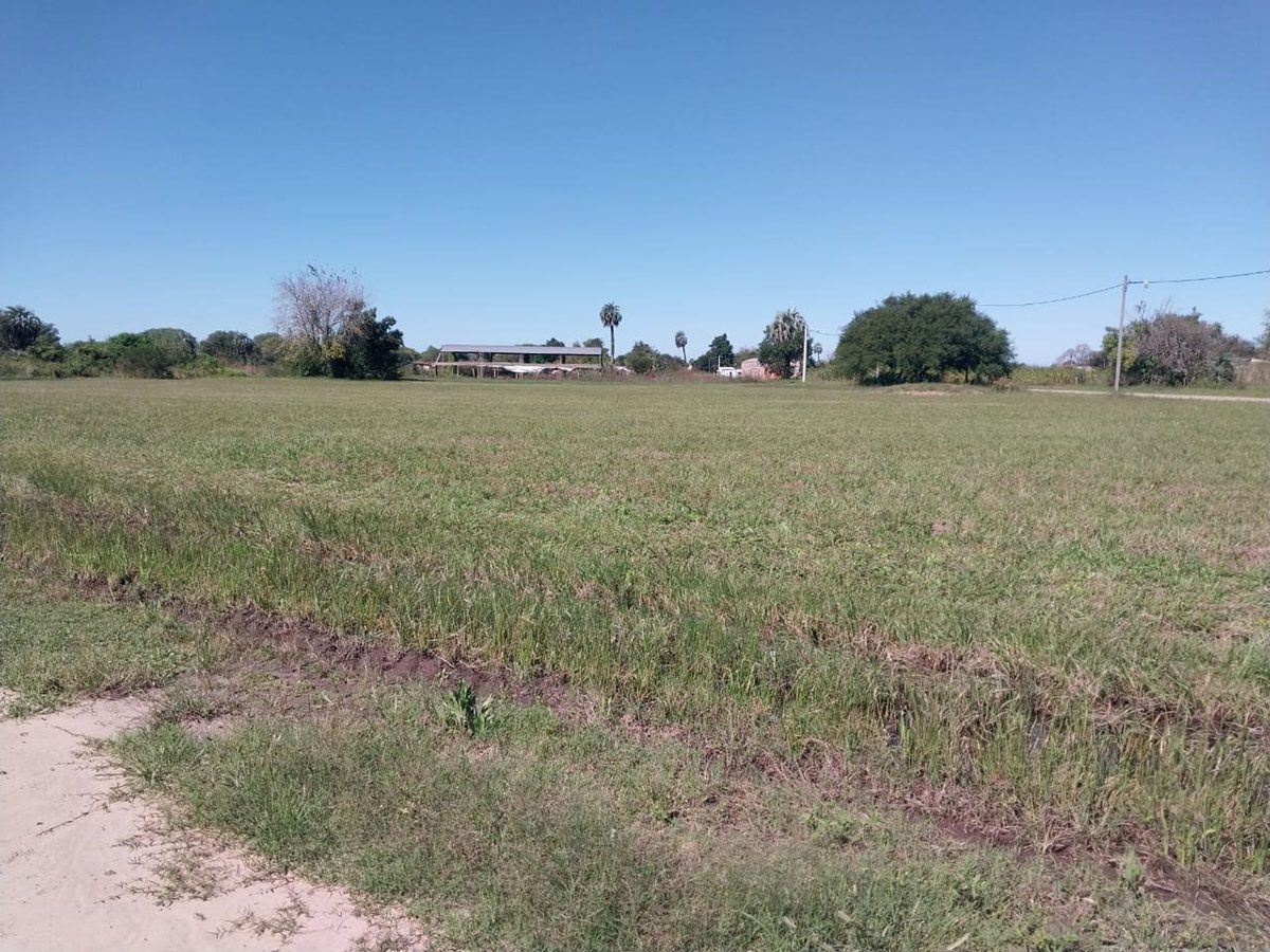 Foto 5 — SE VENDE TERRENO EN BERNA, SANTA FE