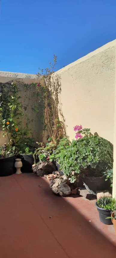 Departamento en venta en Villa Devoto, foto 4