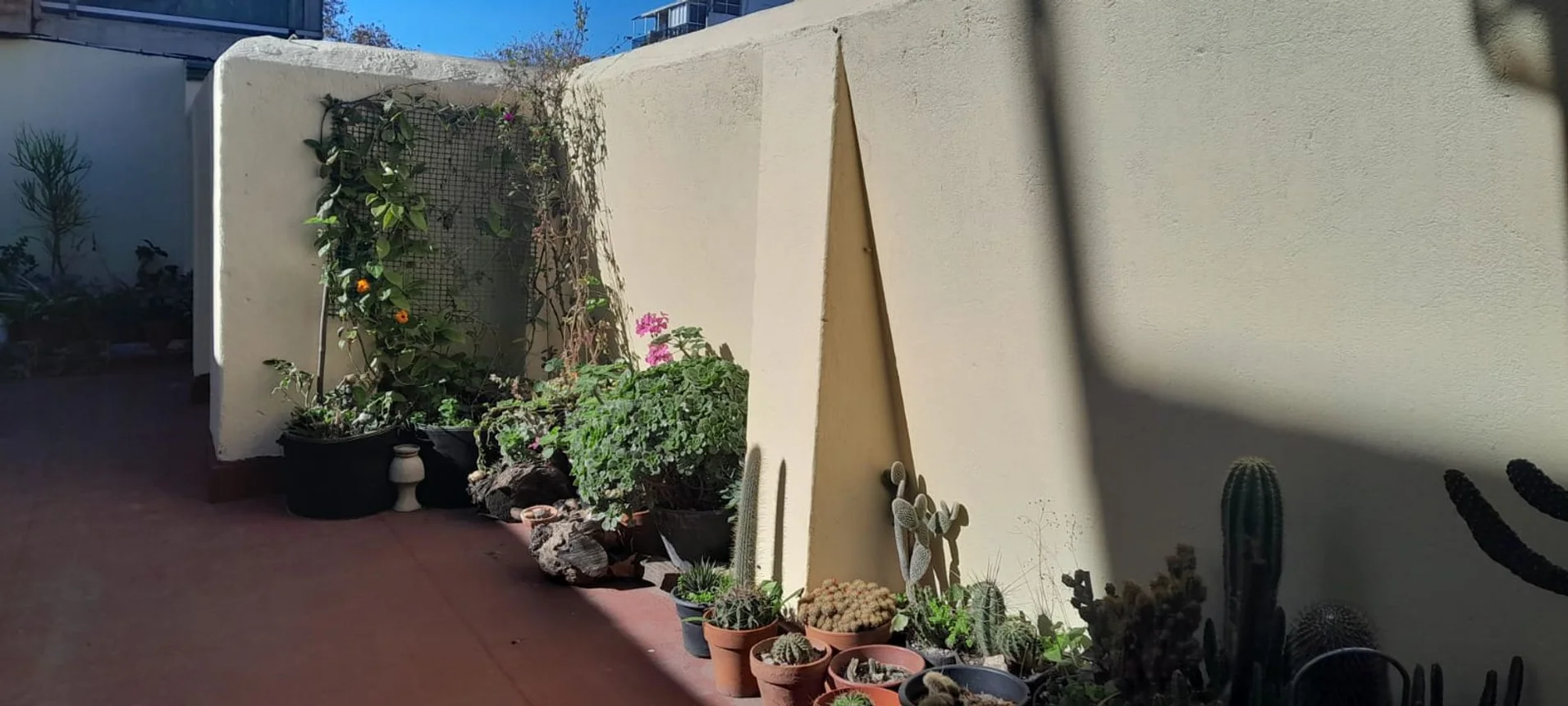 Departamento en venta en Villa Devoto