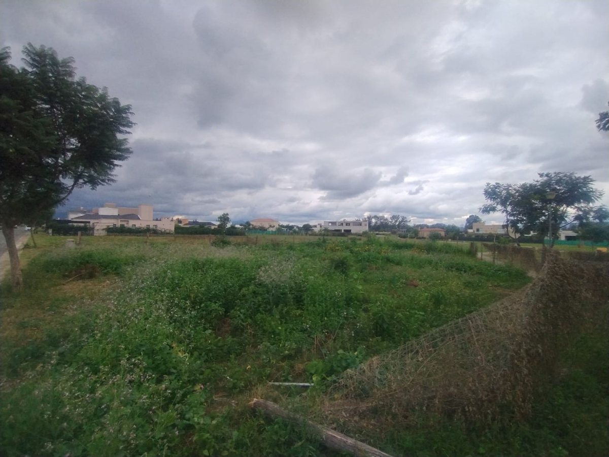 TERRENO VENTA EN SAN LORENZO CHICO B° TINIDAD - foto 3