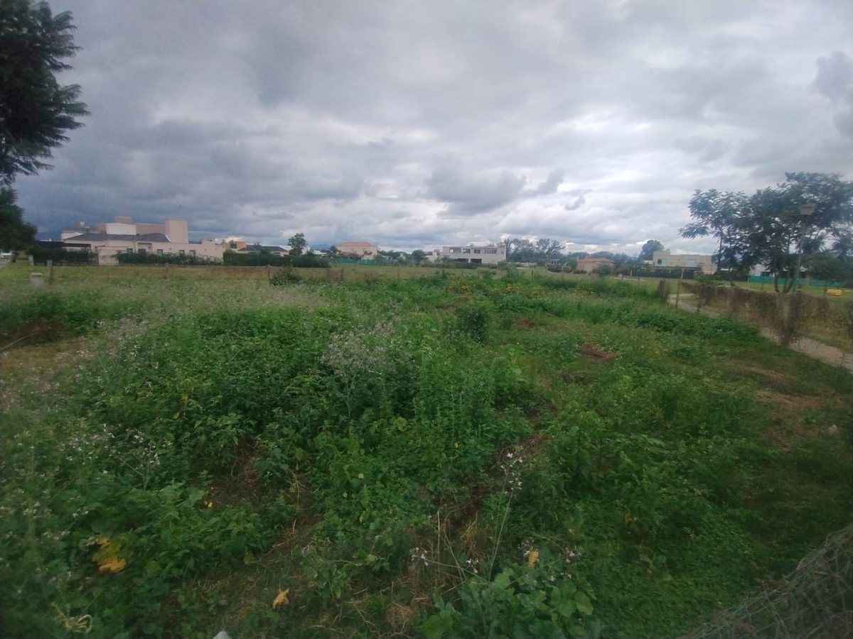TERRENO VENTA EN SAN LORENZO CHICO B° TINIDAD - foto 4