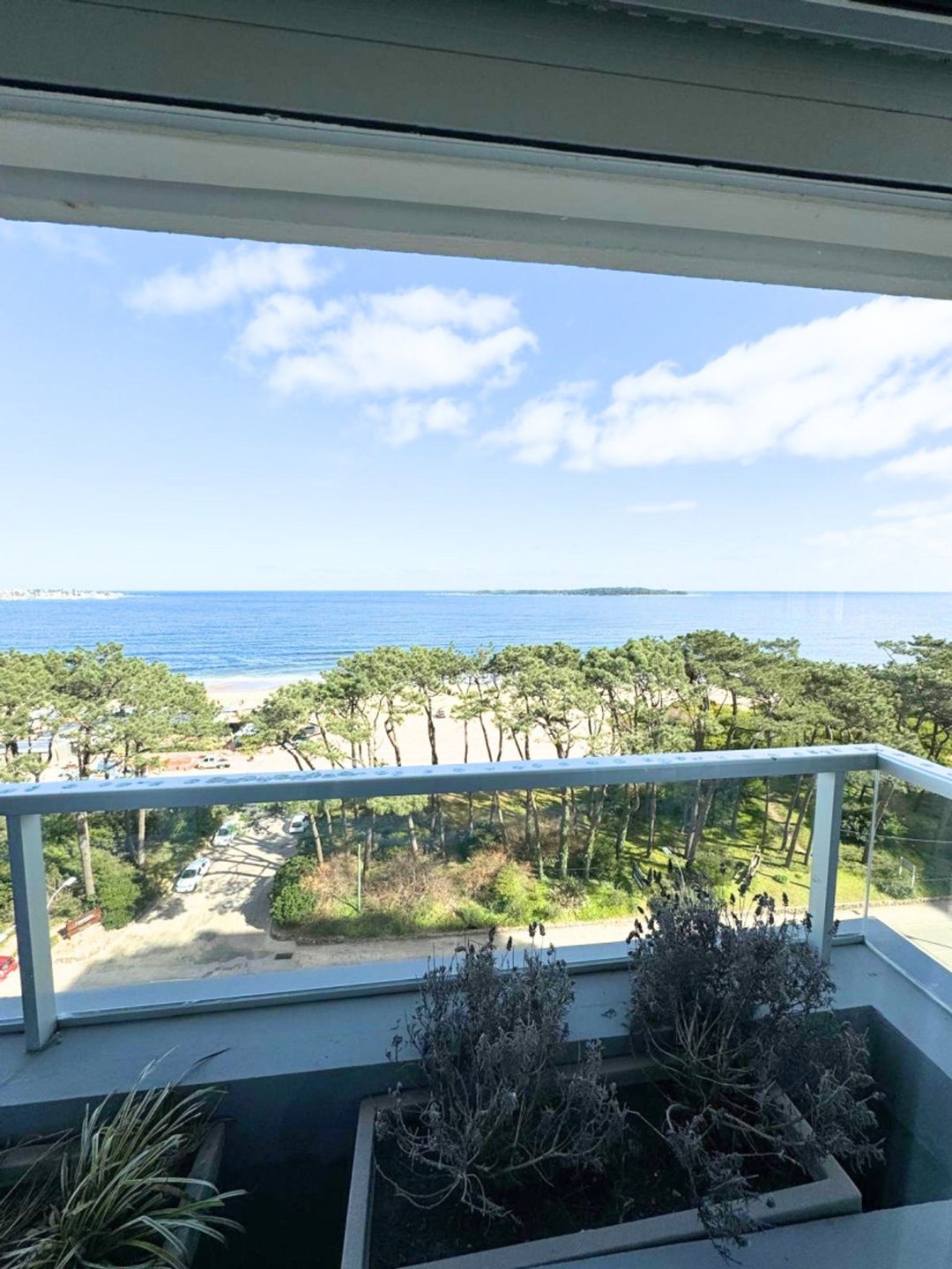 Venta departamento Punta del Este primera línea