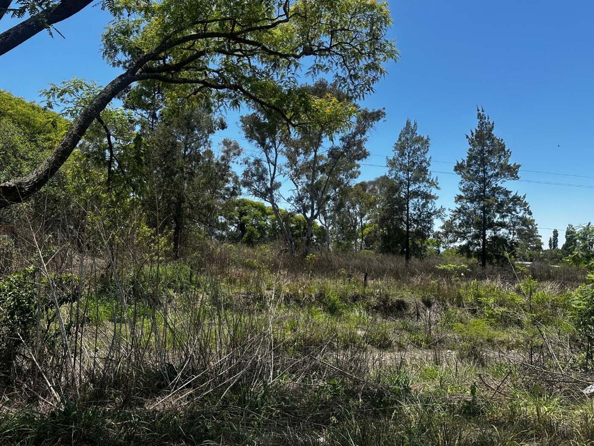 VENTA/PERMUTA TERRENO CAMPO QUIJANO - foto 4