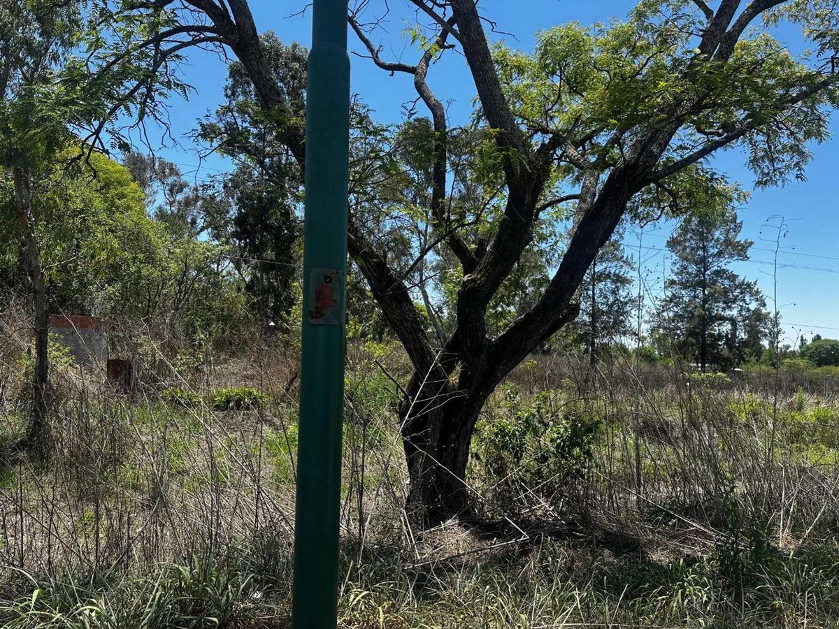 VENTA/PERMUTA TERRENO CAMPO QUIJANO - foto 3