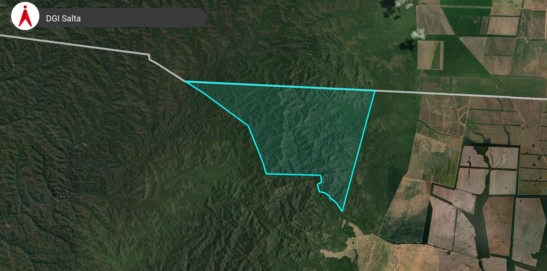 VENTA/PERMUTA CAMPO DE 1730 HA EMBARCACION - foto 3