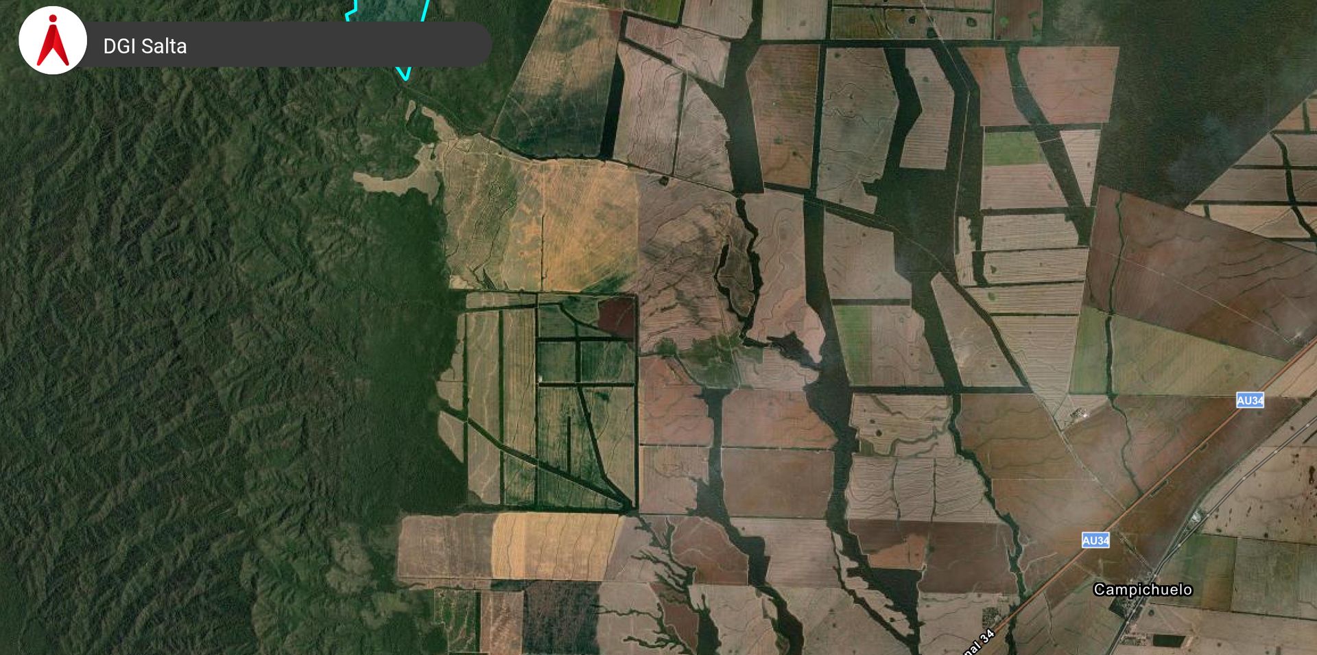 VENTA/PERMUTA CAMPO DE 1730 HA EMBARCACION - foto 4