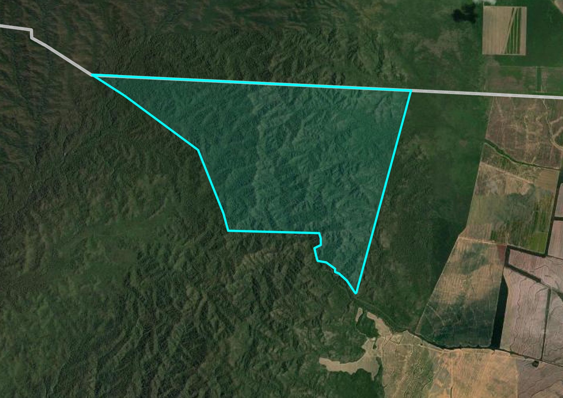 VENTA/PERMUTA CAMPO DE 1730 HA EMBARCACION - foto 5