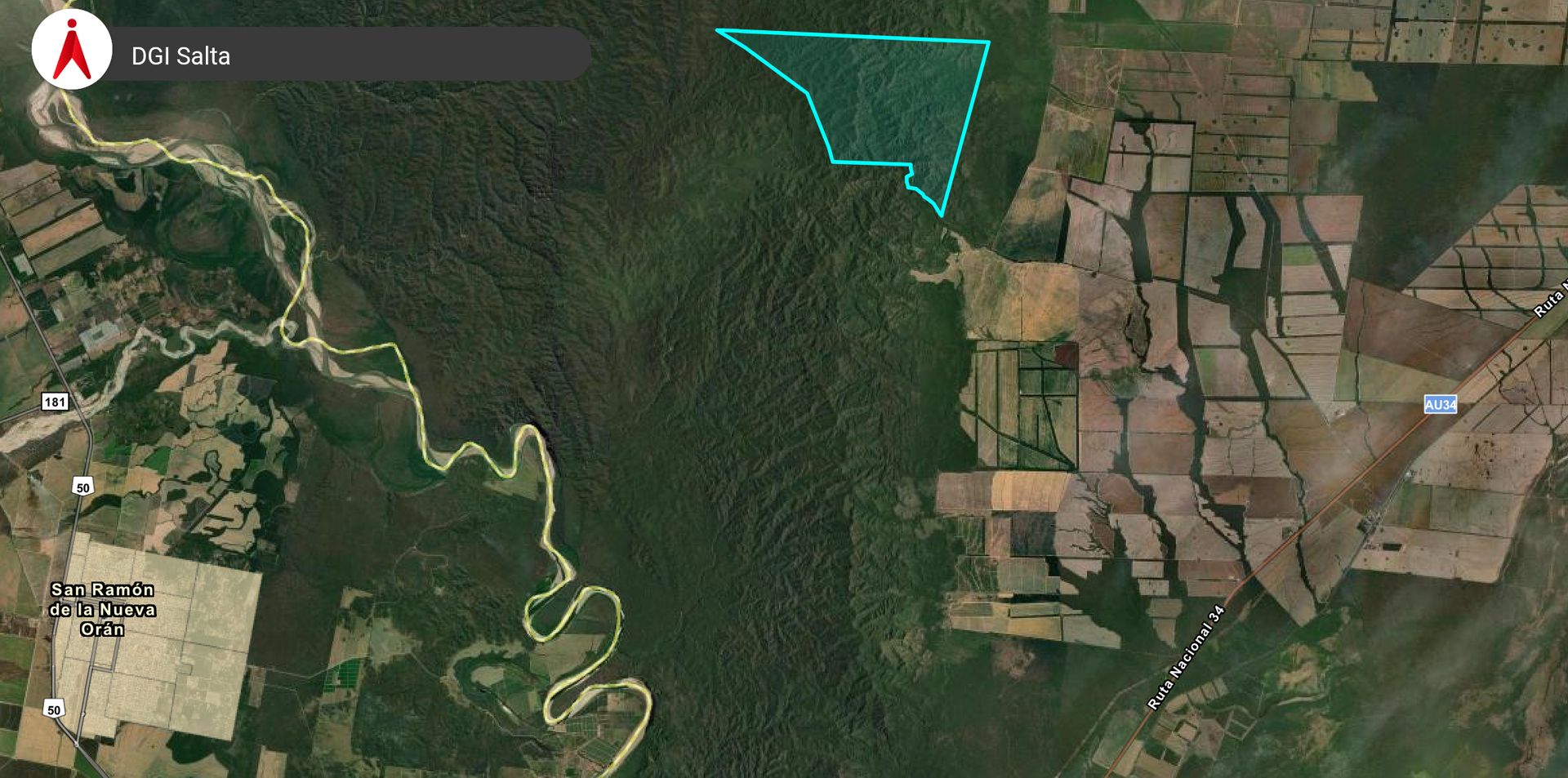 VENTA/PERMUTA CAMPO DE 1730 HA EMBARCACION - foto 2