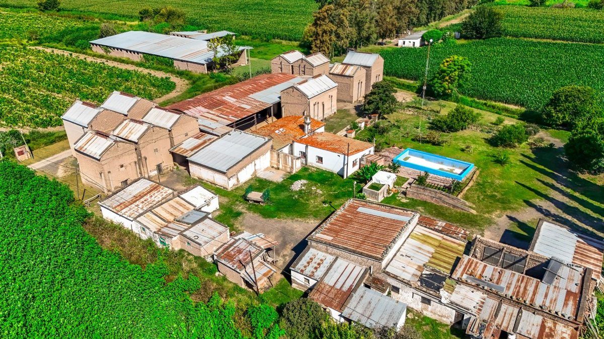 CAMPO VENTA 23 HECTAREAS RP 21 CERRILLOS - foto 15