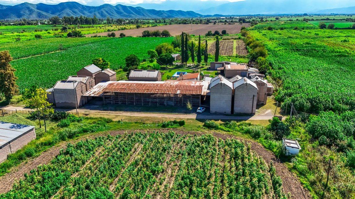CAMPO VENTA 23 HECTAREAS RP 21 CERRILLOS - foto 18