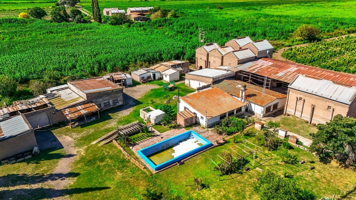 CAMPO VENTA 23 HECTAREAS RP 21 CERRILLOS - foto 5