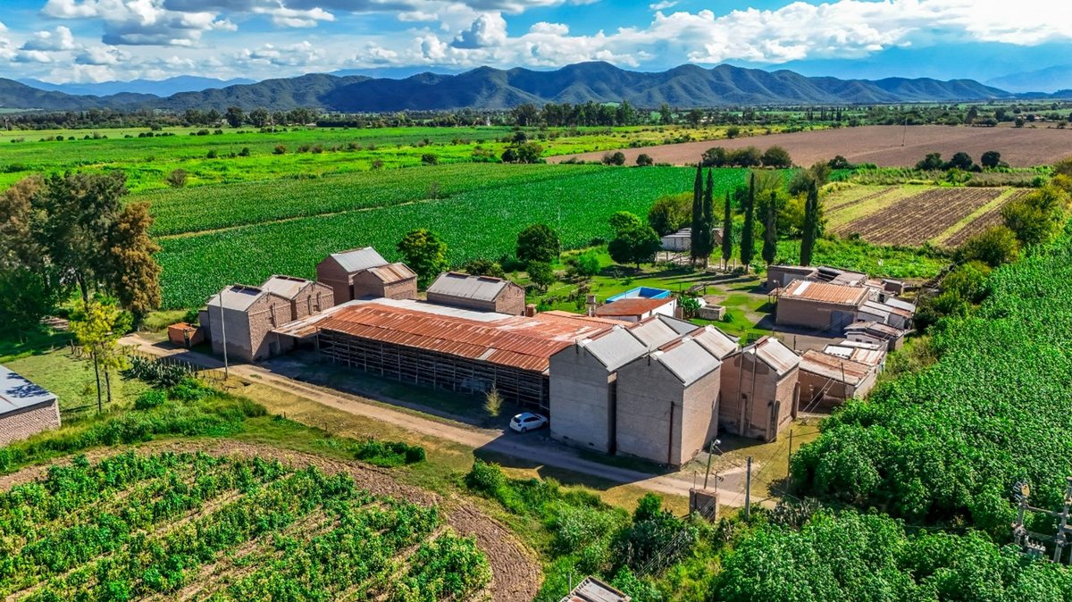 CAMPO VENTA 23 HECTAREAS RP 21 CERRILLOS - foto 16