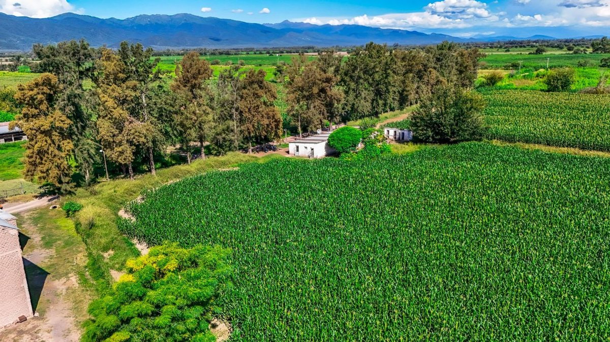CAMPO VENTA 23 HECTAREAS RP 21 CERRILLOS - foto 14