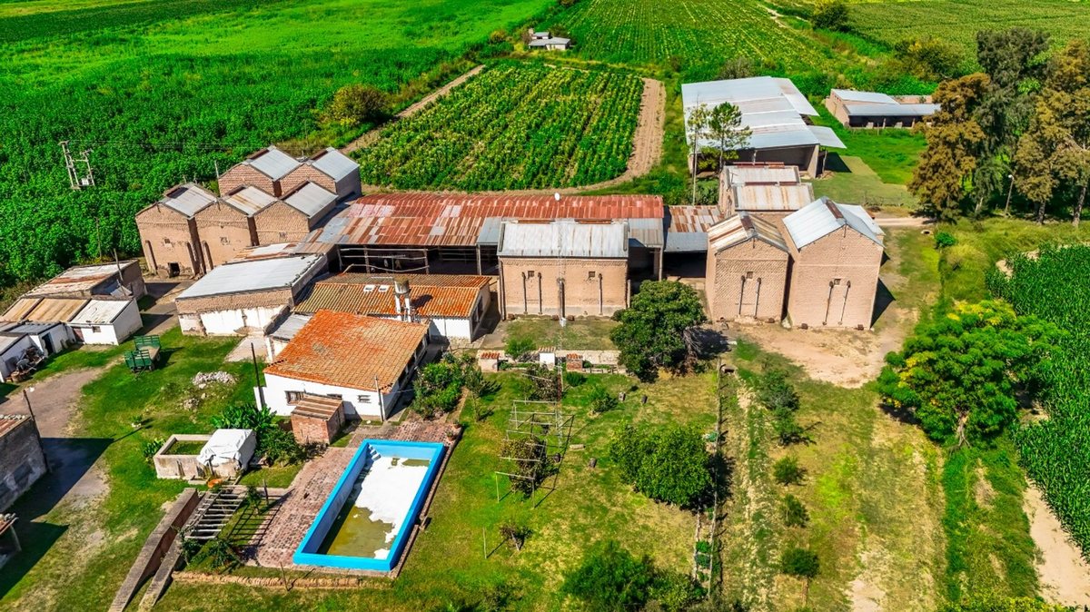 CAMPO VENTA 23 HECTAREAS RP 21 CERRILLOS - foto 6
