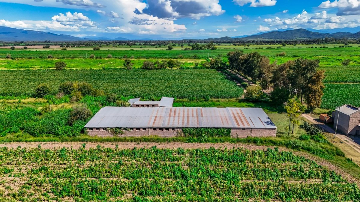 CAMPO VENTA 23 HECTAREAS RP 21 CERRILLOS - foto 17