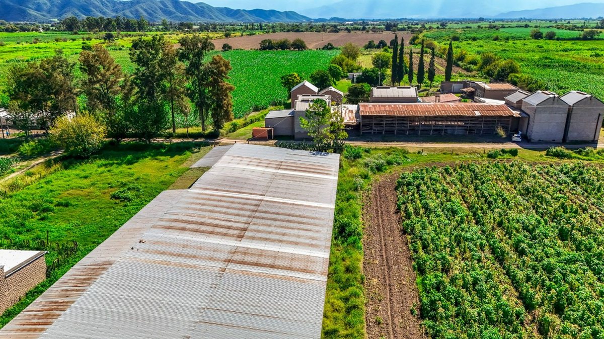 CAMPO VENTA 23 HECTAREAS RP 21 CERRILLOS - foto 9