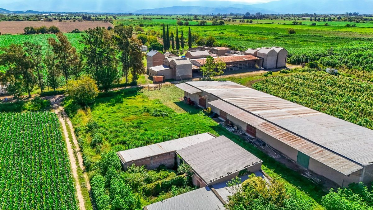 CAMPO VENTA 23 HECTAREAS RP 21 CERRILLOS - foto 8